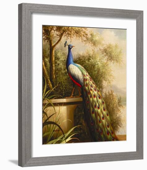 Regal Peacock-null-Framed Art Print