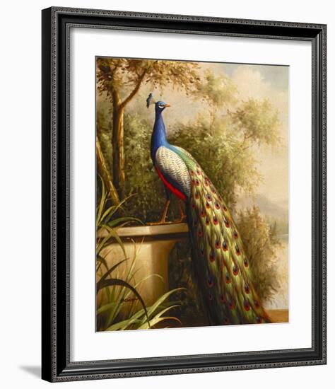 Regal Peacock-null-Framed Art Print