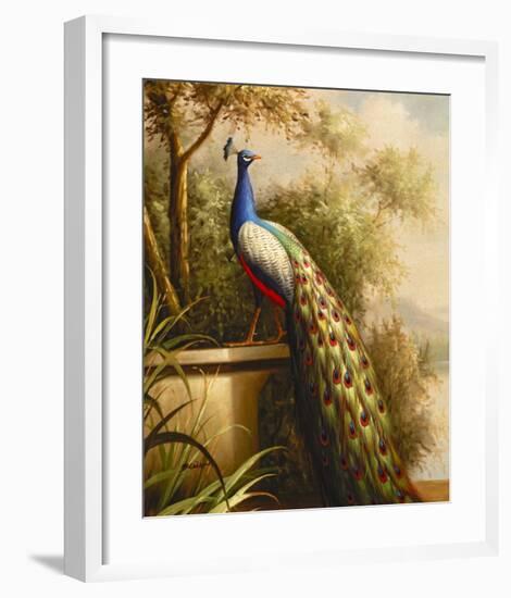 Regal Peacock-null-Framed Art Print