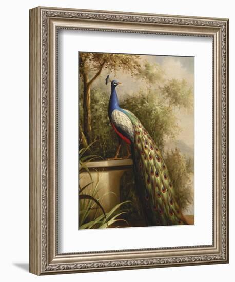 Regal Peacock-null-Framed Art Print