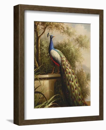 Regal Peacock-null-Framed Art Print