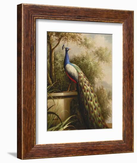 Regal Peacock-null-Framed Art Print