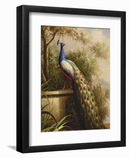 Regal Peacock-null-Framed Art Print