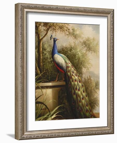 Regal Peacock-null-Framed Art Print