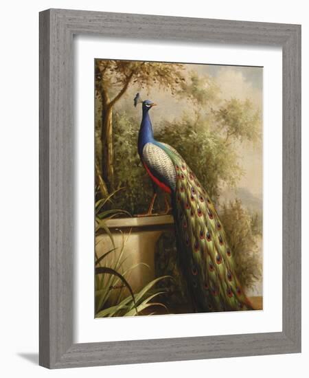 Regal Peacock-null-Framed Art Print