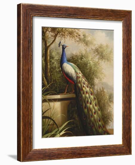 Regal Peacock-null-Framed Art Print