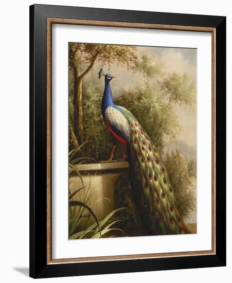Regal Peacock-null-Framed Art Print