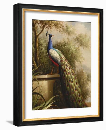 Regal Peacock-null-Framed Art Print