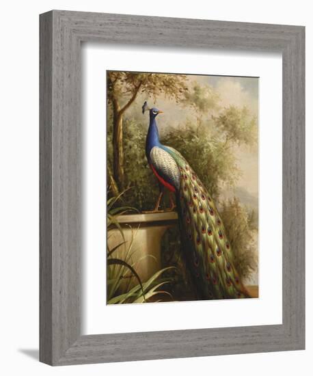 Regal Peacock-null-Framed Premium Giclee Print