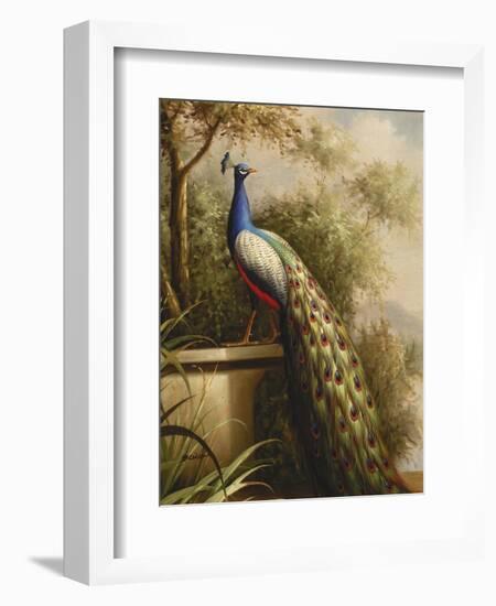 Regal Peacock-null-Framed Premium Giclee Print