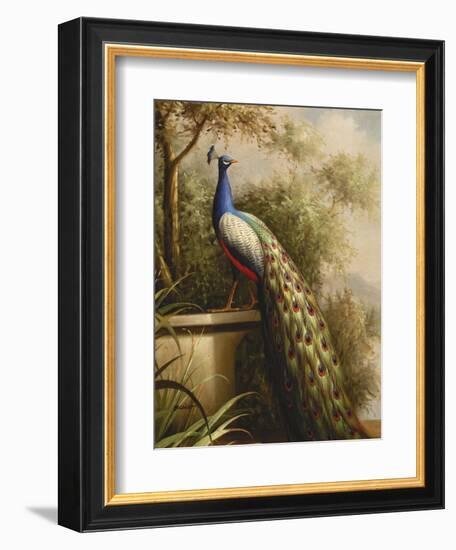 Regal Peacock-null-Framed Premium Giclee Print