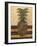 Regal Pineapple II-Norman Wyatt Jr.-Framed Art Print