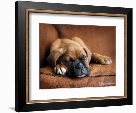 Regal-Rachael Hale-Framed Photographic Print