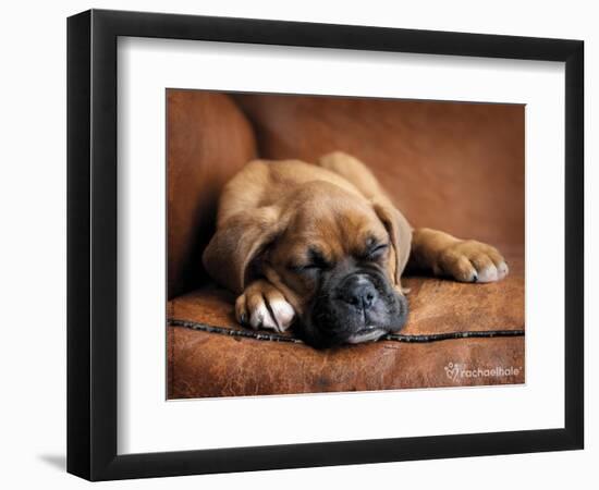 Regal-Rachael Hale-Framed Photographic Print