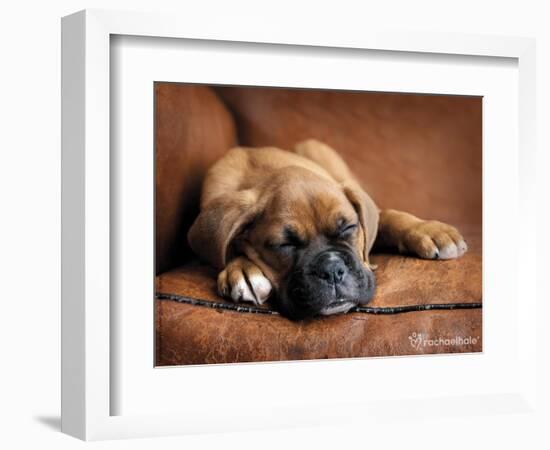 Regal-Rachael Hale-Framed Photographic Print