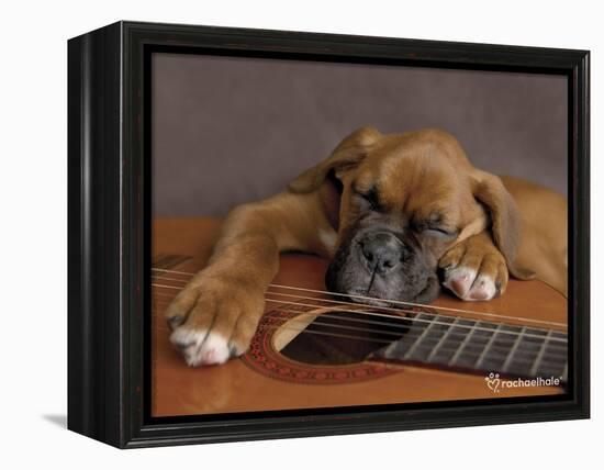 Regal-Rachael Hale-Framed Premier Image Canvas