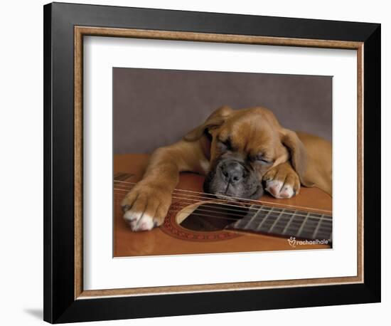 Regal-Rachael Hale-Framed Photographic Print