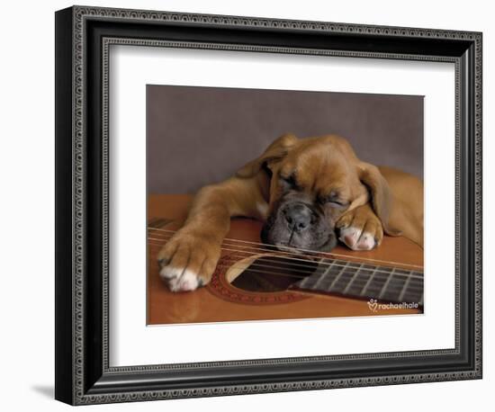 Regal-Rachael Hale-Framed Photographic Print