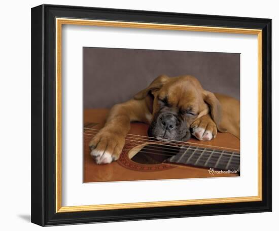 Regal-Rachael Hale-Framed Photographic Print