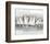 Regata-Luigi Florio-Framed Art Print