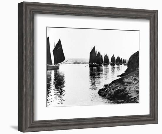 Regatta, Hayle Estuary, C.1890--Framed Giclee Print