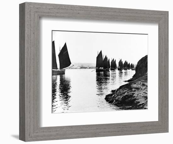 Regatta, Hayle Estuary, C.1890-null-Framed Giclee Print