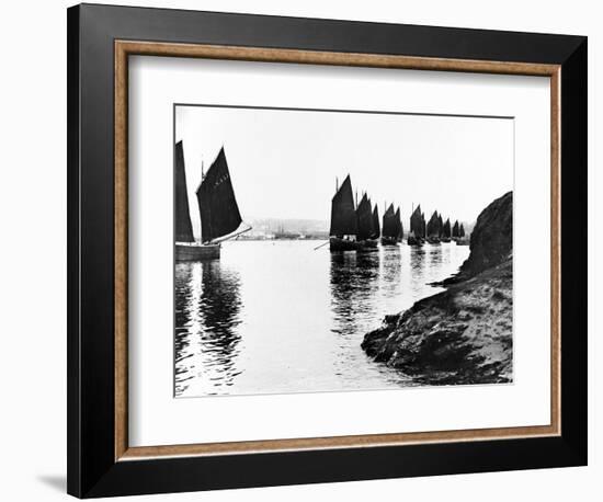 Regatta, Hayle Estuary, C.1890-null-Framed Giclee Print