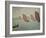 Regatta Near Concarneau, 1891-Paul Signac-Framed Giclee Print