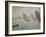 Regatta near Concarneau. 1891-Paul Signac-Framed Giclee Print