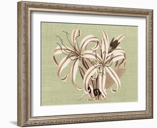 Regencé Lily I-Sarah Chilton-Framed Art Print