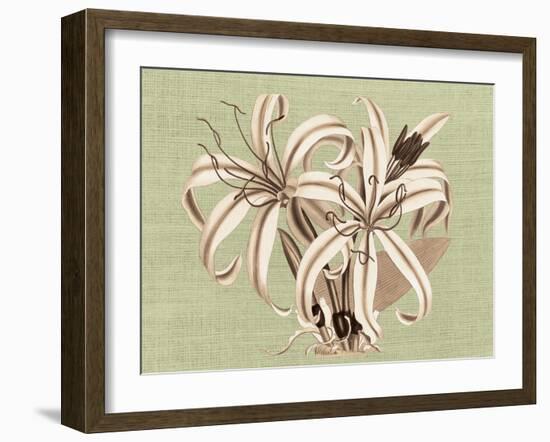 Regencé Lily I-Sarah Chilton-Framed Art Print