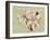 Regencé Lily I-Sarah Chilton-Framed Art Print