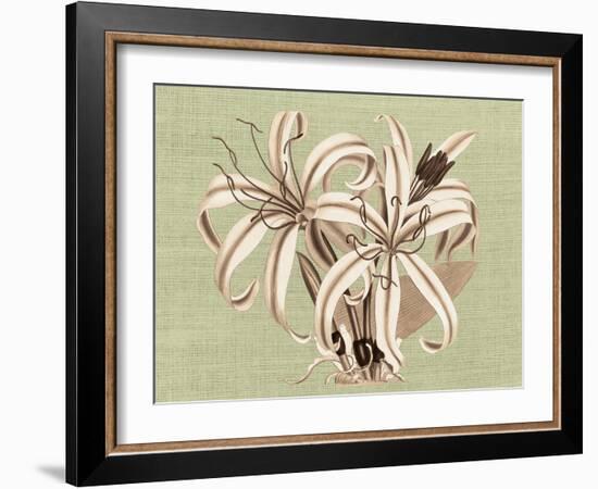 Regencé Lily I-Sarah Chilton-Framed Art Print