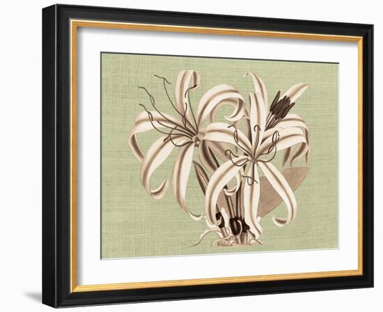 Regencé Lily I-Sarah Chilton-Framed Art Print