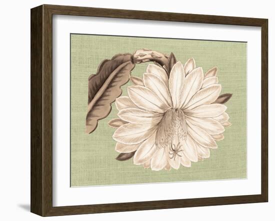 Regencé Lily II-Sarah Chilton-Framed Art Print