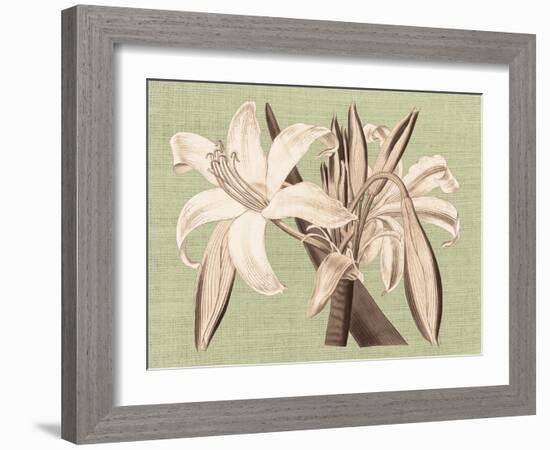 Regencé Lily IV-Sarah Chilton-Framed Art Print