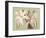 Regencé Lily IV-Sarah Chilton-Framed Art Print