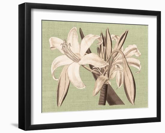 Regencé Lily IV-Sarah Chilton-Framed Art Print