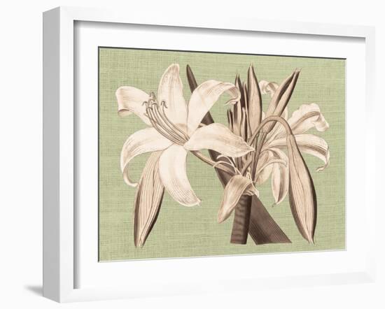 Regencé Lily IV-Sarah Chilton-Framed Art Print