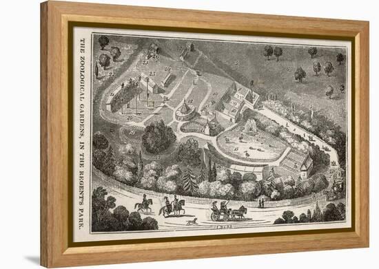 Regent's Park London: a Bird's Eye View of the Gardens of the Zoological Society-I. Dodd-Framed Stretched Canvas