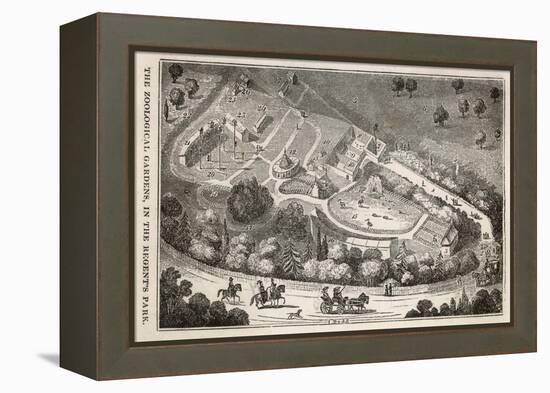 Regent's Park London: a Bird's Eye View of the Gardens of the Zoological Society-I. Dodd-Framed Stretched Canvas