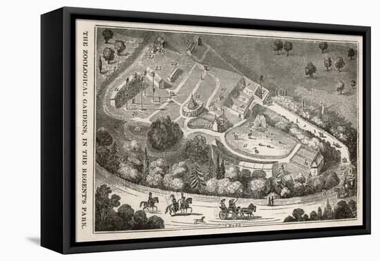 Regent's Park London: a Bird's Eye View of the Gardens of the Zoological Society-I. Dodd-Framed Stretched Canvas