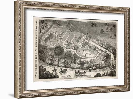 Regent's Park London: a Bird's Eye View of the Gardens of the Zoological Society-I. Dodd-Framed Art Print