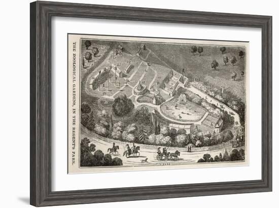 Regent's Park London: a Bird's Eye View of the Gardens of the Zoological Society-I. Dodd-Framed Art Print