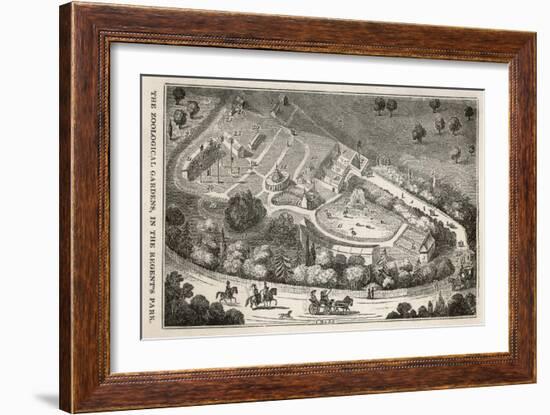 Regent's Park London: a Bird's Eye View of the Gardens of the Zoological Society-I. Dodd-Framed Art Print