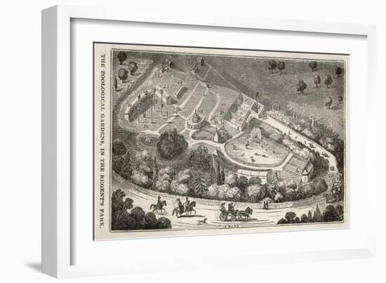 Regent's Park London: a Bird's Eye View of the Gardens of the Zoological Society-I. Dodd-Framed Art Print