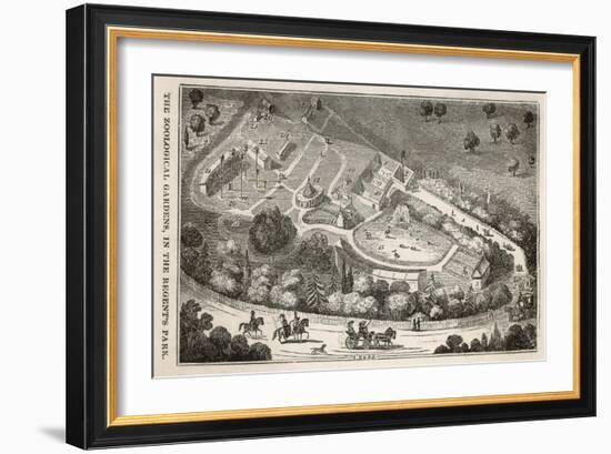 Regent's Park London: a Bird's Eye View of the Gardens of the Zoological Society-I. Dodd-Framed Art Print