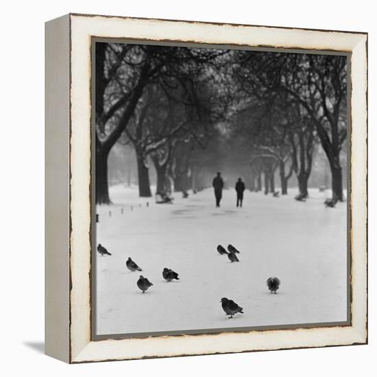 Regent's Park, London. Pigeons on a Snowy Path with People Walking Away Through an Avenue of Trees-John Gay-Framed Premier Image Canvas