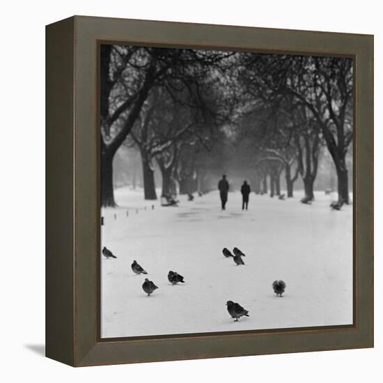 Regent's Park, London. Pigeons on a Snowy Path with People Walking Away Through an Avenue of Trees-John Gay-Framed Premier Image Canvas