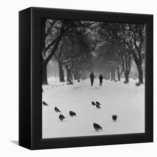 Regent's Park, London. Pigeons on a Snowy Path with People Walking Away Through an Avenue of Trees-John Gay-Framed Premier Image Canvas